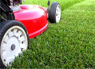 lawn care company