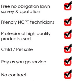 lawn care benenfits